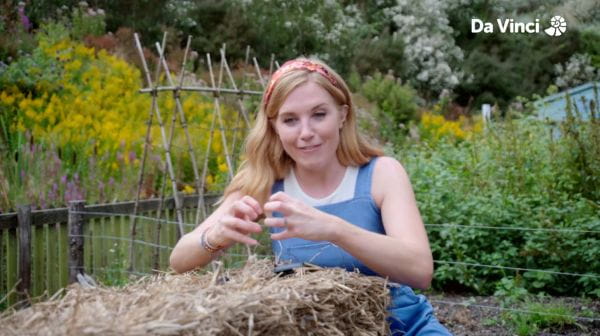 15. Maddie, plantele și tu - Plantele pe care le folosim