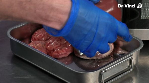 Operation Ouch (2012) - 11 sezóna 7. väčšinou si vyrobený z vody!