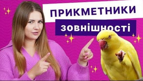 Descriem aspectul în engleză