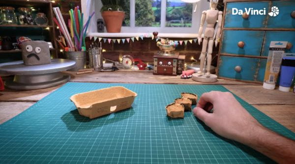 11. Eggbox Bug