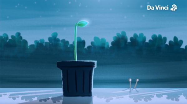 19. Melci
