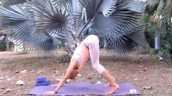 Day 1 - Yoga. Morning