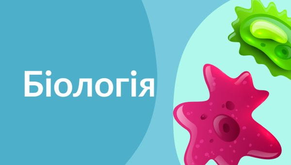 9th grade (2020) – 08.05.2020 biology
