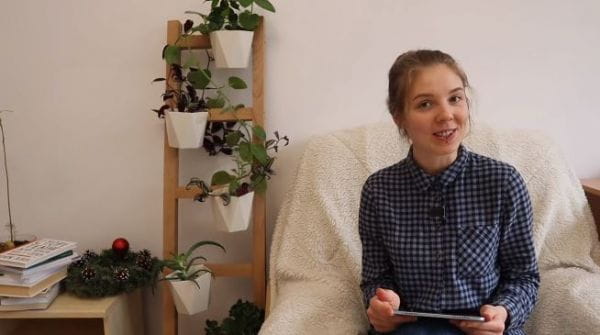 3. Need phrases in Polish: why, why, why (B2)