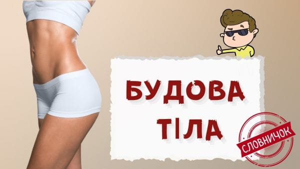 39. All parts of the body in Polish! Human anatomy