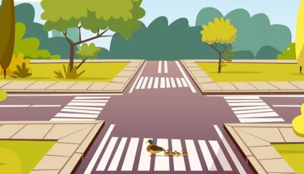 Movement by Maidans. Road repair.