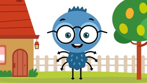Little spider