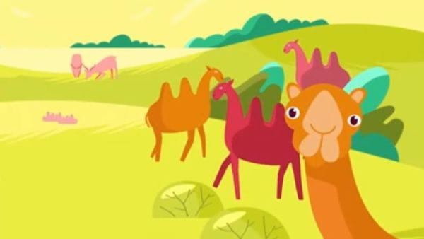12. Pedan about the secret life of wild animals