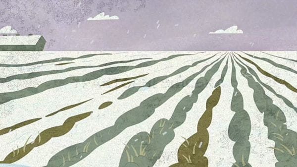 14. Tractor troops