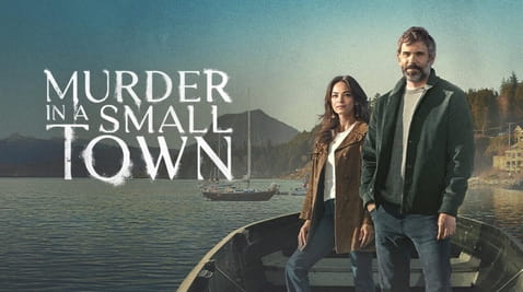 Ver Murder in a Small Town online