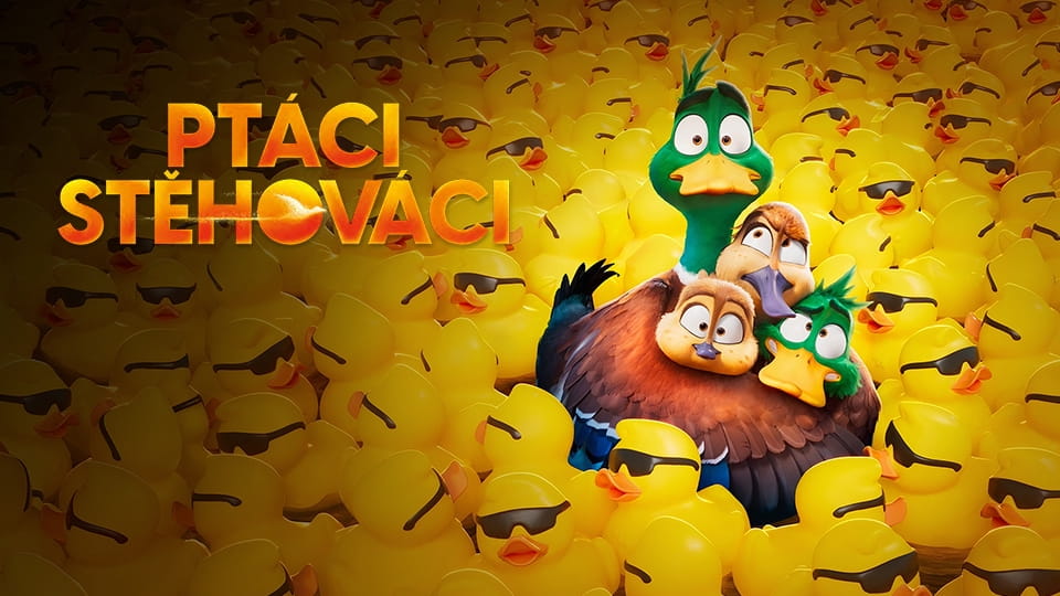 Upoutávka Ptáci stěhováci