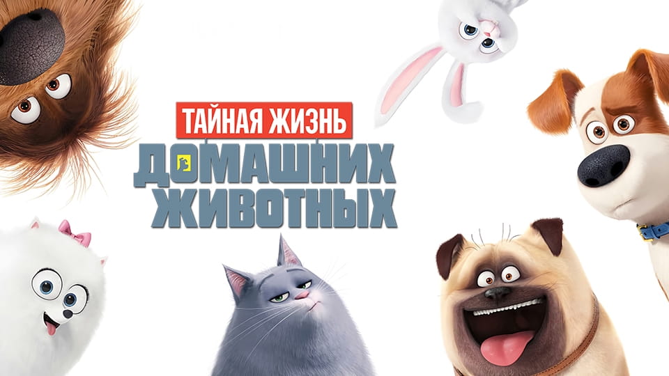 Тайная жизнь домашних животных (2016) – смотреть онлайн в хорошем
