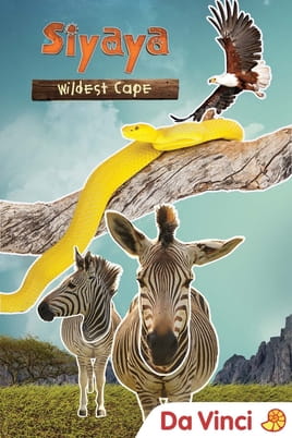 Siyaya - Wildest Cape Siyaya - Wildest Cape