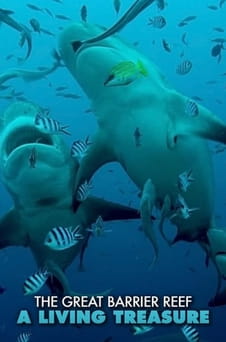 უყურეთ The Great Barrier Reef A Living Treasure ონლაინ რეჟიმში