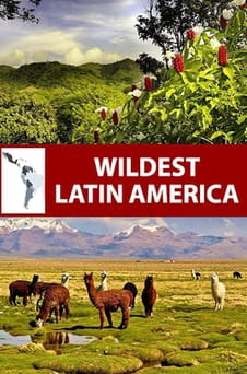 უყურეთ Wildest Latin America ონლაინ რეჟიმში