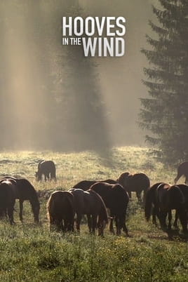 Watch Hooves in the Wind online
