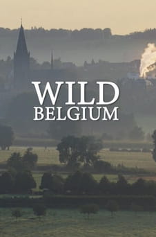 უყურეთ Wild Belgium ონლაინ რეჟიმში