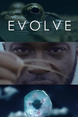 Watch Evolve online