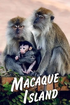 უყურეთ Macaque Island ონლაინ რეჟიმში