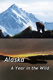უყურეთ Alaska A Year in the Wild ონლაინ რეჟიმში