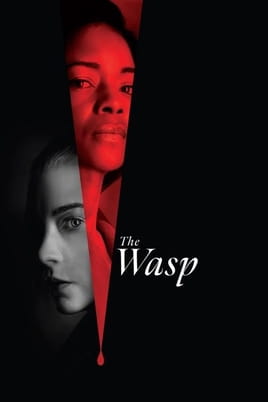 Sledovať The Wasp online