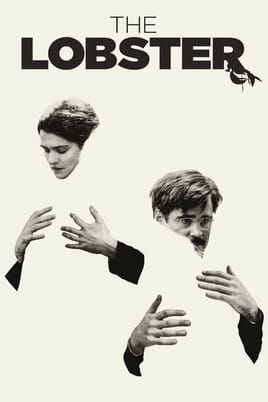 The Lobster - SWEET.TV Watch The Lobster online
