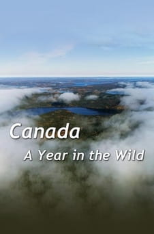 უყურეთ Canada A Year In The Wild ონლაინ რეჟიმში
