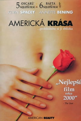 Americká krása