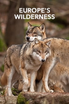 უყურეთ Europes Wilderness ონლაინ რეჟიმში