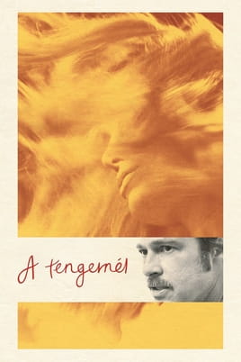 Nézz A tengernél tartalmakat online