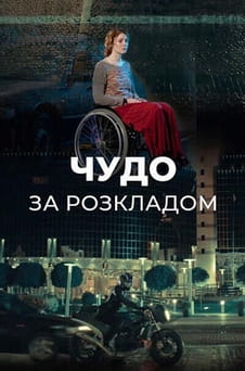 Ver Miracle on Schedule online