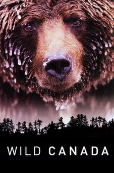 უყურეთ Wild Canada ონლაინ რეჟიმში