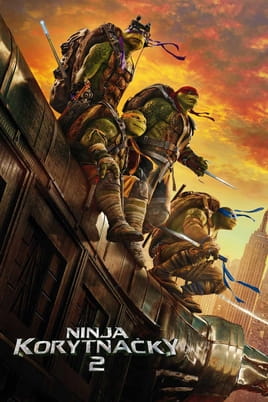 Ninja korytnačky 2