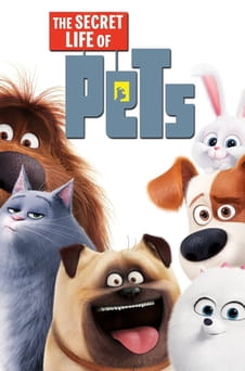 Guarda The Secret Life of Pets online