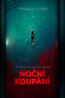 Noční koupání