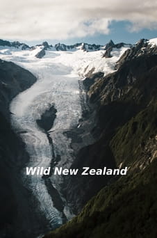 უყურეთ Wild New Zealand ონლაინ რეჟიმში