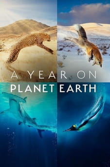 უყურეთ A Year on Planet Earth ონლაინ რეჟიმში