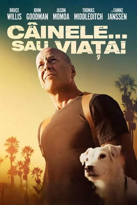 Câinele... sau viața