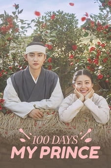 უყურეთ 100 Days My Prince ონლაინ რეჟიმში