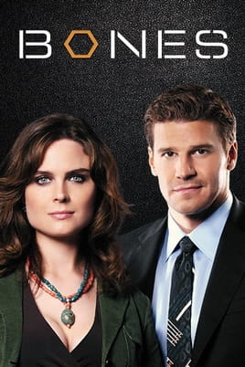 Watch Bones online
