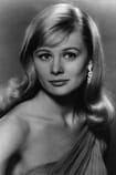 Shirley Knight Filmy z aktorem Shirley Knight
