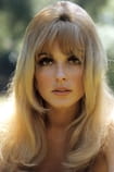 Sharon Tate Films with the actor Sharon Tate