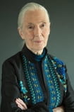 Jane Goodall Films with the actor Jane Goodall