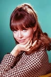 Barbara Feldon Films with the actor Barbara Feldon