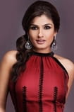 Films with the actor Ravina Tandon