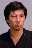 Films with the actor Sho Kosugi