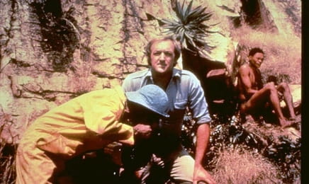 Мабуть Боги з'їхали з ґлузду