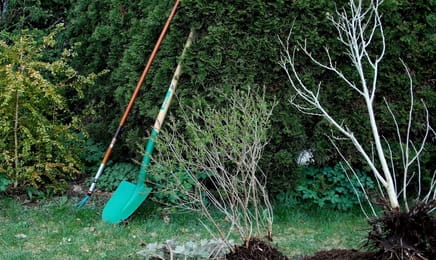 Rok w ogrodzie extra E409 Rok w ogrodzie extra E409