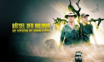 Sekrety zwierząt E16