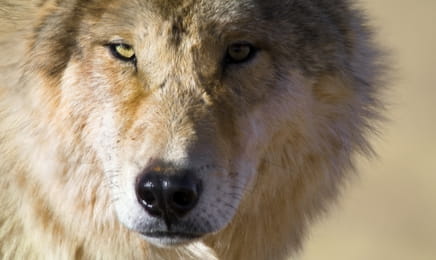 Azja: kulisy produkcji S1E3